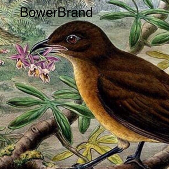 bowerbrand